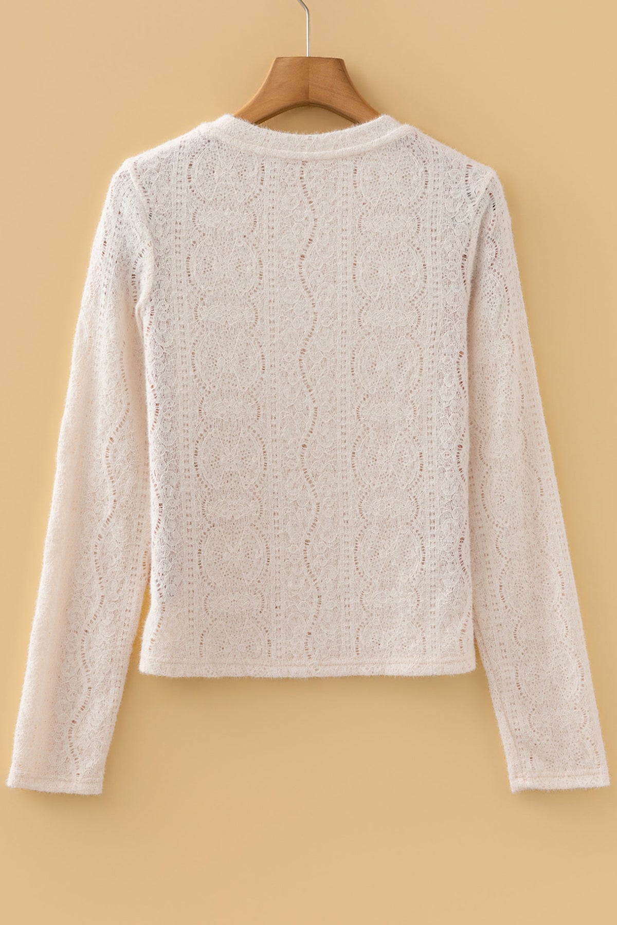 Lace Semi Sheer Long Sleeve Cropped Top