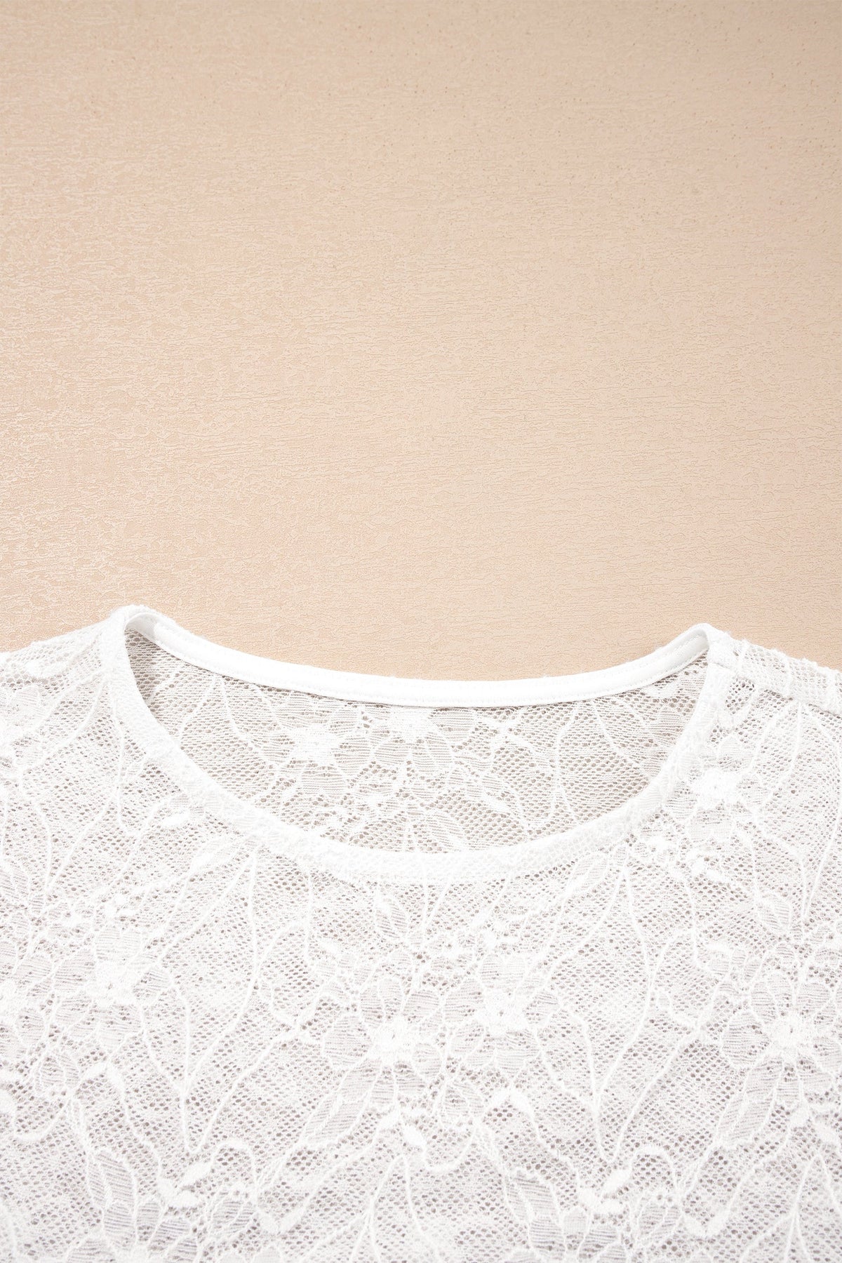 Sheer Lace Mesh Crew Neck Long Sleeve Top