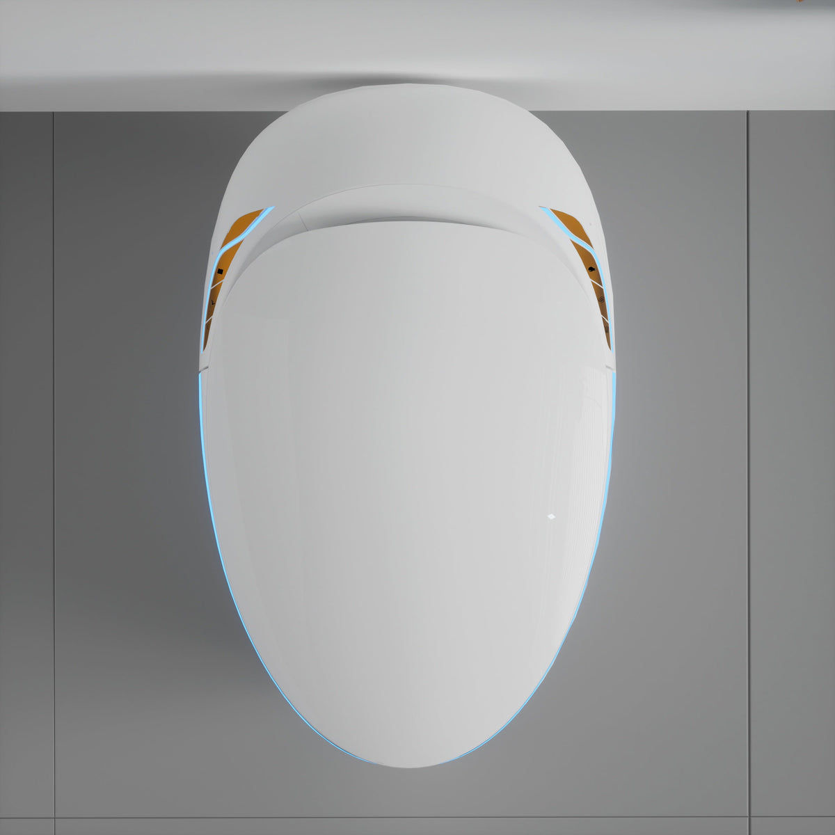 Unique Smart Toilet with Built-In Bidet
