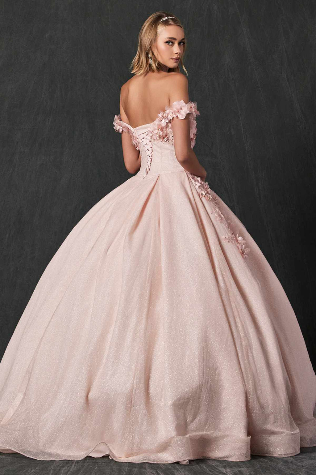 Juliet 1433 Dress Quinceanera Ball Gown 3D Floral Embroidered