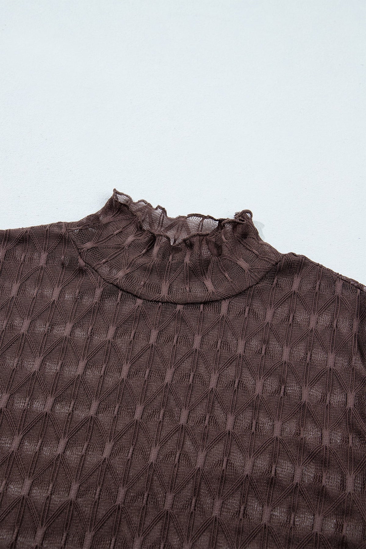 Chicory Coffee Sheer Textured Lace Stand Neck Long Sleeve Top
