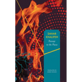 Passage to the Plaza - Hardcover