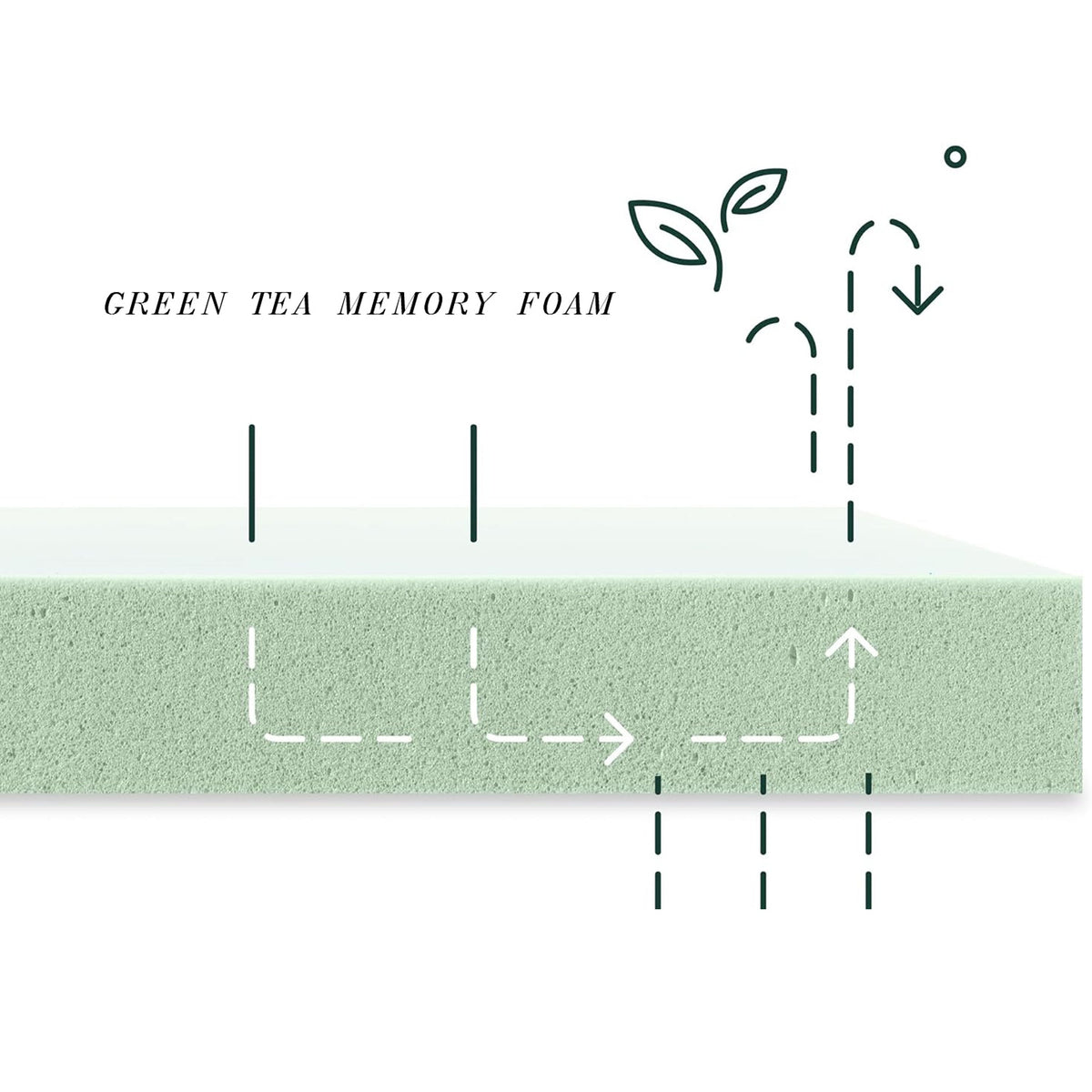 10 Queen Memory Foam Mattress