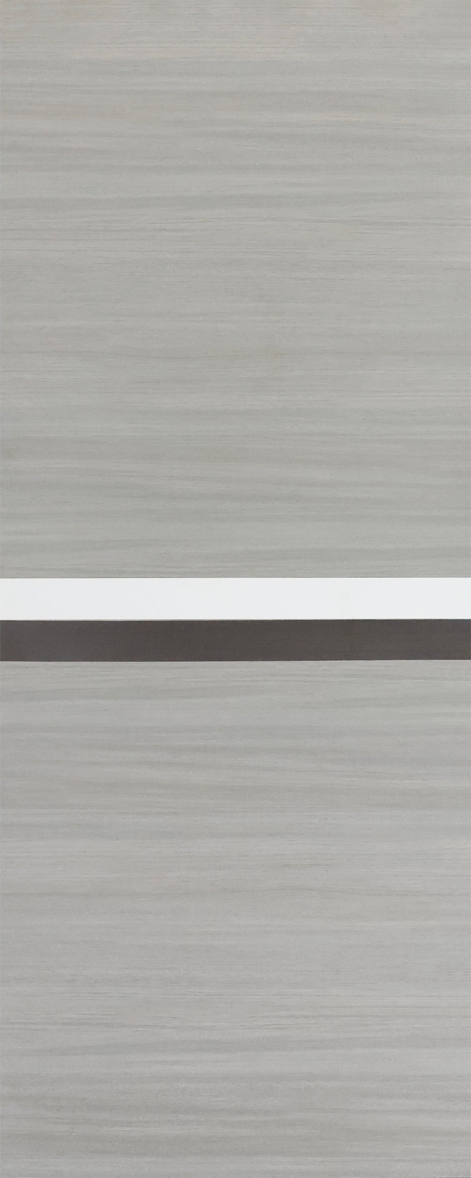 CRAZY ELF Melamine Integrated Door Slab 28" x 80"