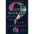 What's the Point of Theology?: Wisdom, Wellbeing and Wonder - Paperback