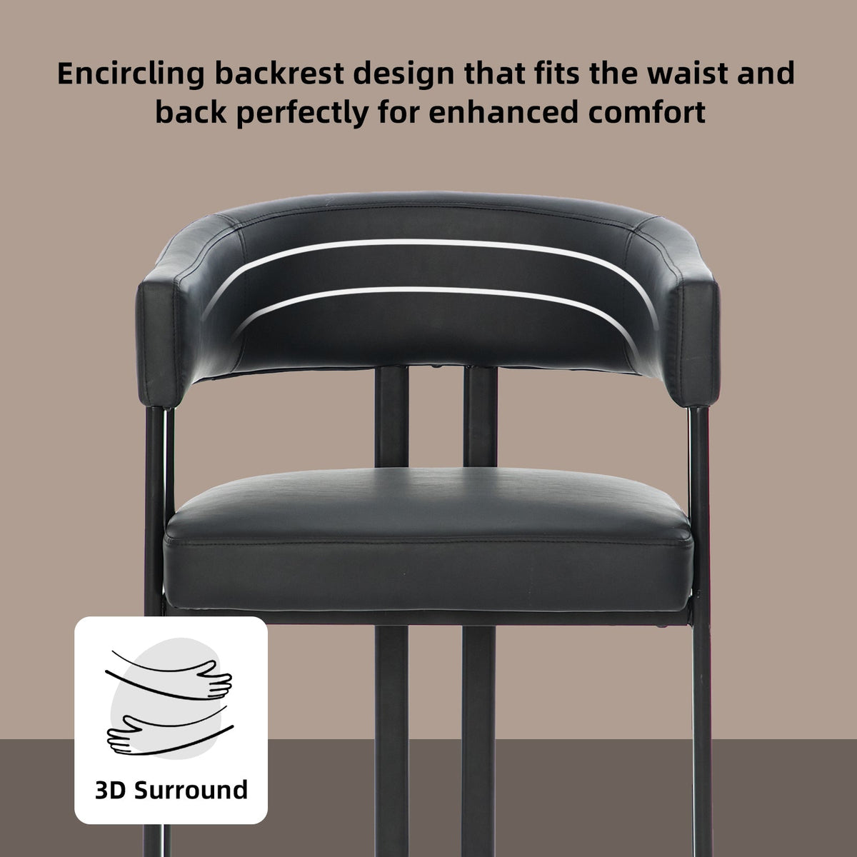 Modern Dining Chairs Set of 2