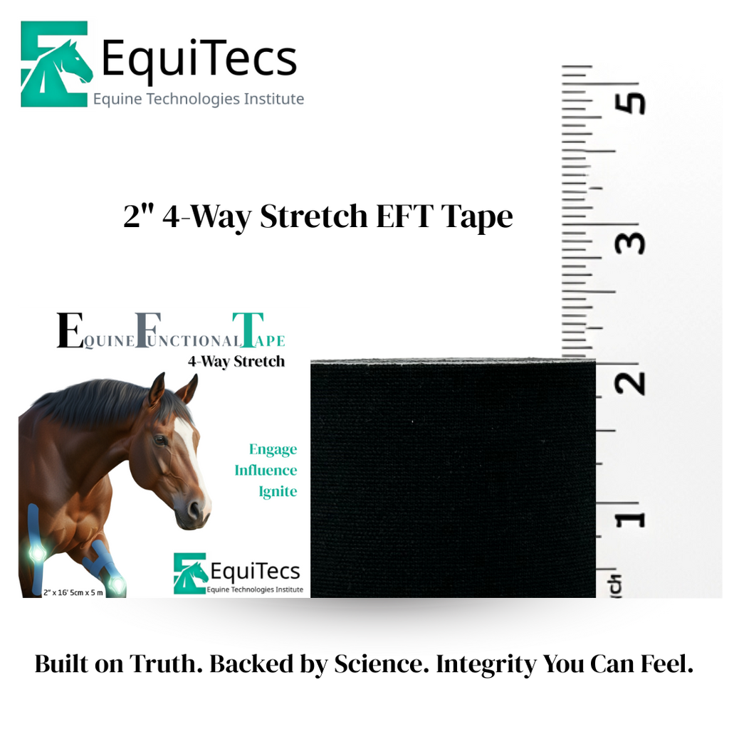Horse 4-Way Functional Taping Tape — Biomechanic Support