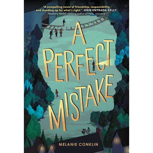 A Perfect Mistake - Hardcover