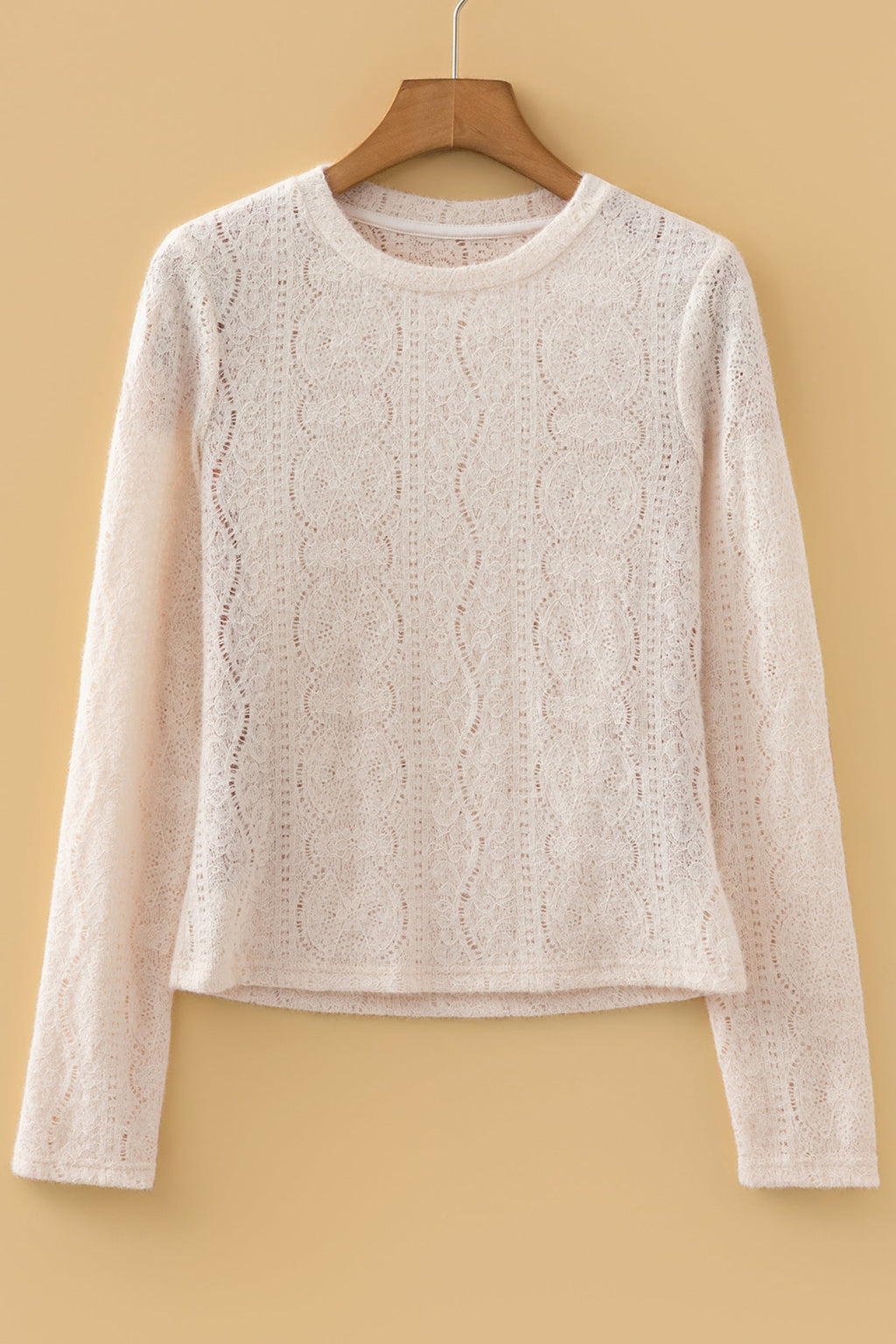 Lace Semi Sheer Long Sleeve Cropped Top