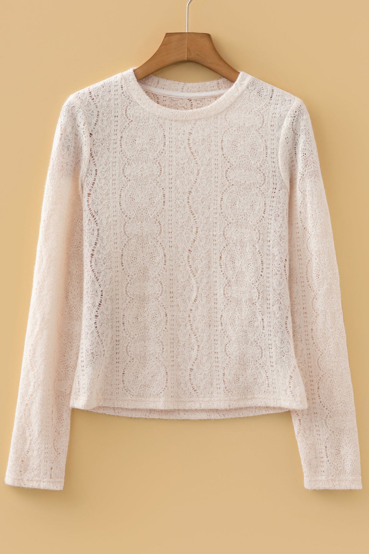 Lace Semi Sheer Long Sleeve Cropped Top