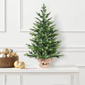 2FT Full PE Tabletop Christmas Tree with 230 Tips