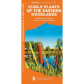 Edible Plants of the Eastern Woodlands: A Folding Pocket Guide to Familiar Species - Paperback