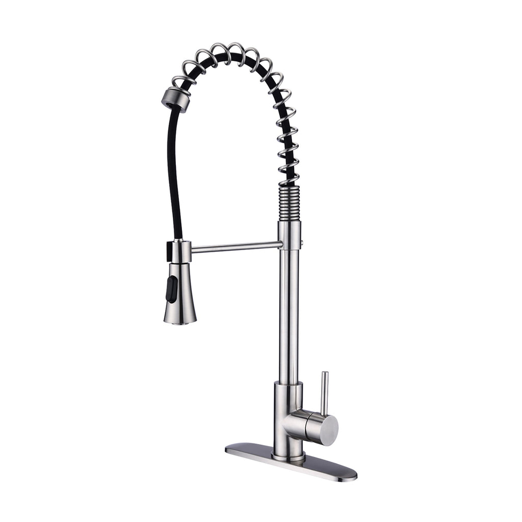 Brushed Nickel Single Handle Kitchen Faucet