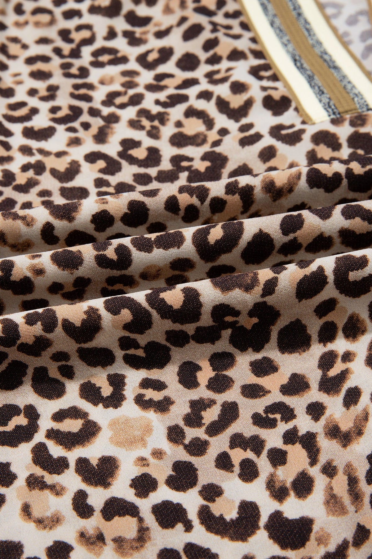 Leopard Contrast Trim V Neck Half Sleeve Western Dolman Blouse