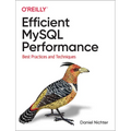 Efficient MySQL Performance: Best Practices and Techniques - Paperback