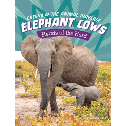 Elephant Cows: Heads of the Herd - Paperback