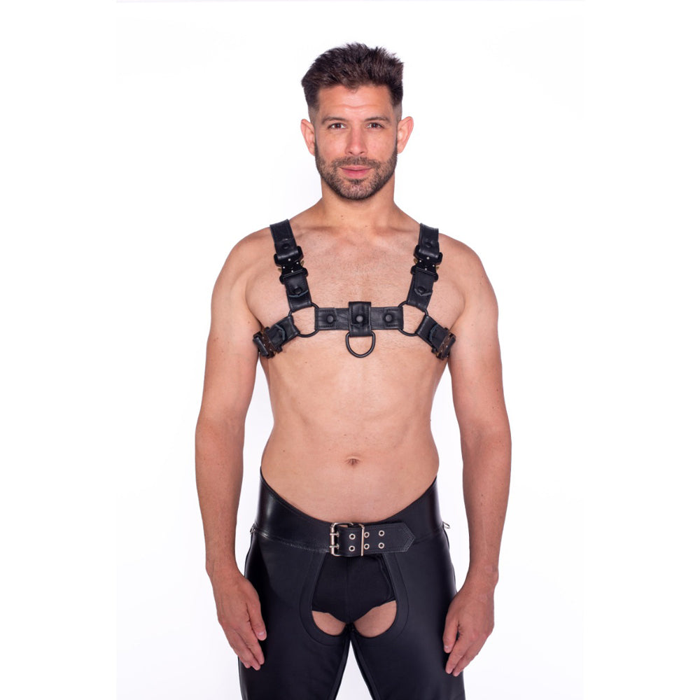 Prowler RED Bull Harness Black with Metal Fittings L
