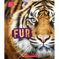 Fur (Learn About: Animal Coverings) - Paperback