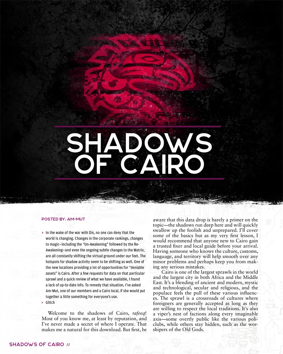 Shadowrun RPG: Risks & Rewards (6E)