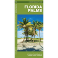 Florida Palms: A Folding Pocket Guide to Familiar Palms of Florida - Paperback