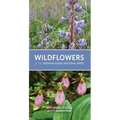 Wildflowers of the Indiana Dunes National Park - Paperback