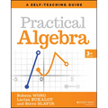 Practical Algebra: A Self-Teaching Guide - Paperback