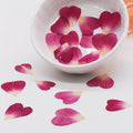 100pcs 1cm Heart Shape Pressed Dried Rose Flower Petals for Jewelry