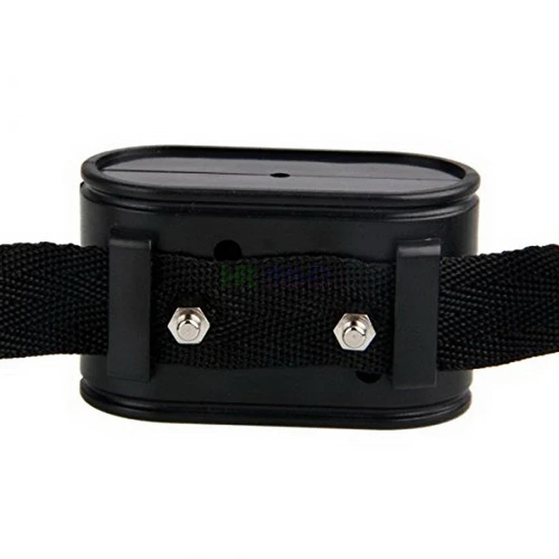 Electronic Dog Fence Accessories | Receiver Collar, Wire & Transmitter Options | 023/023B, W227 & W227B Systems