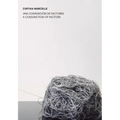 Cinthia Marcelle: A Conjunction of Factors - Hardcover
