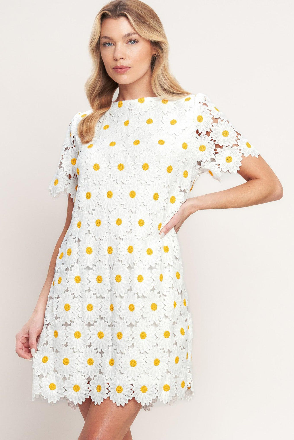 DAISIES AND DAYDREAMS WOVEN LACE MINI DRESS