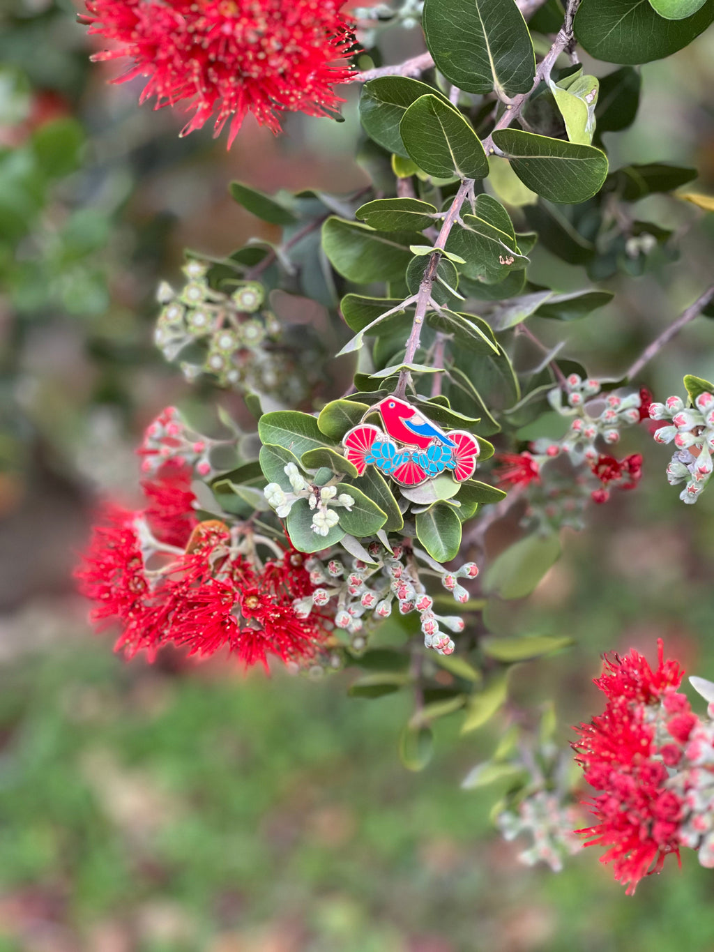 ʻIʻiwi & ‘Ōhiʻa Lehua Enamel Pin