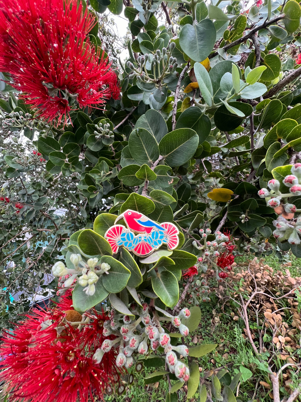 ʻIʻiwi & ‘Ōhiʻa Lehua Enamel Pin
