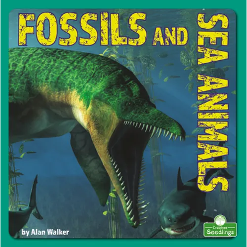 Fossils and Sea Animals - Paperback