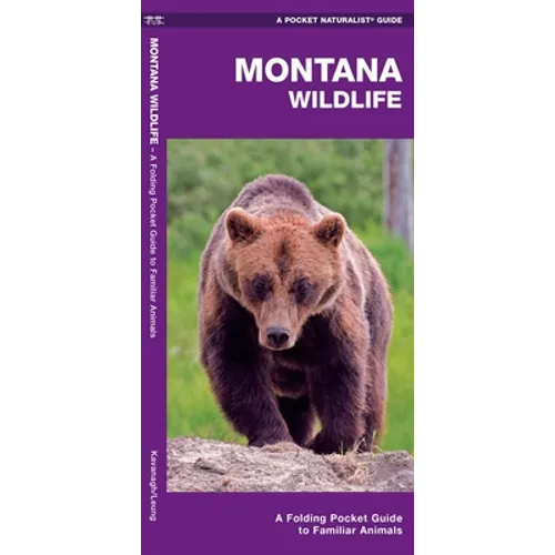Montana Wildlife: A Folding Pocket Guide to Familiar Animals