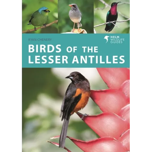 Birds of the Lesser Antilles - Paperback