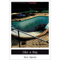 Like a Dog - Paperback