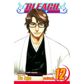 Bleach, Vol. 12: Flower on the Precipice - Paperback