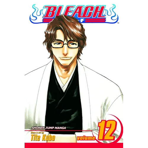 Bleach, Vol. 12: Flower on the Precipice - Paperback