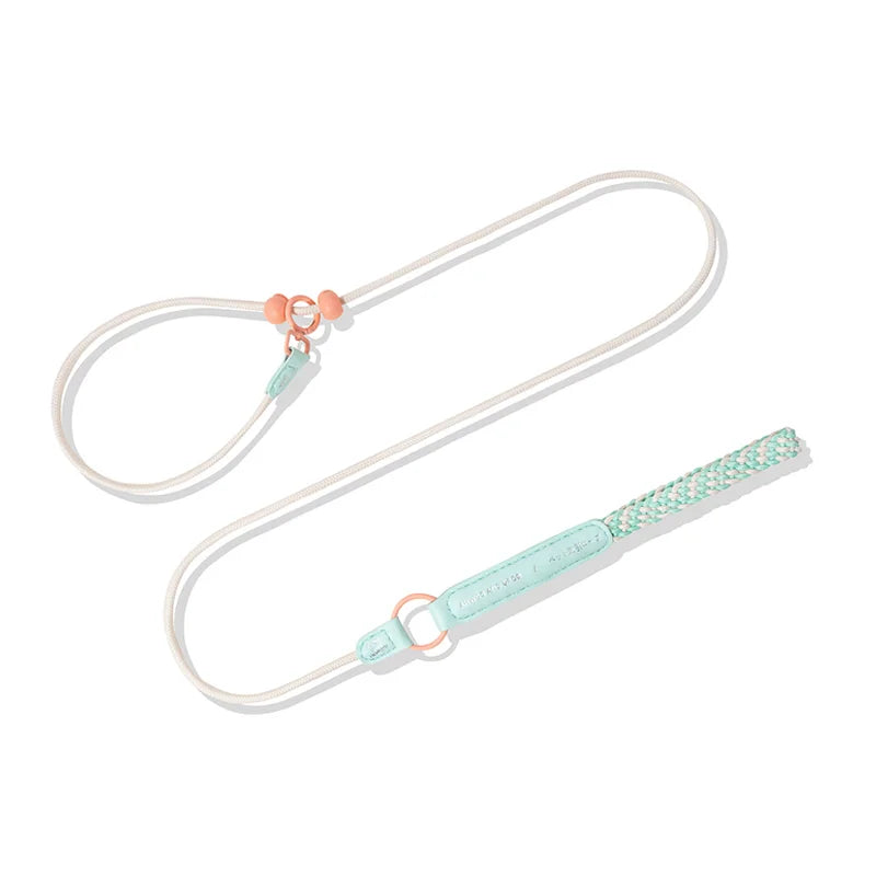 P-Chain Dog Training Slip Lead | Adjustable Nylon + PU, Quick-Release | Small, Medium & Large Dogs