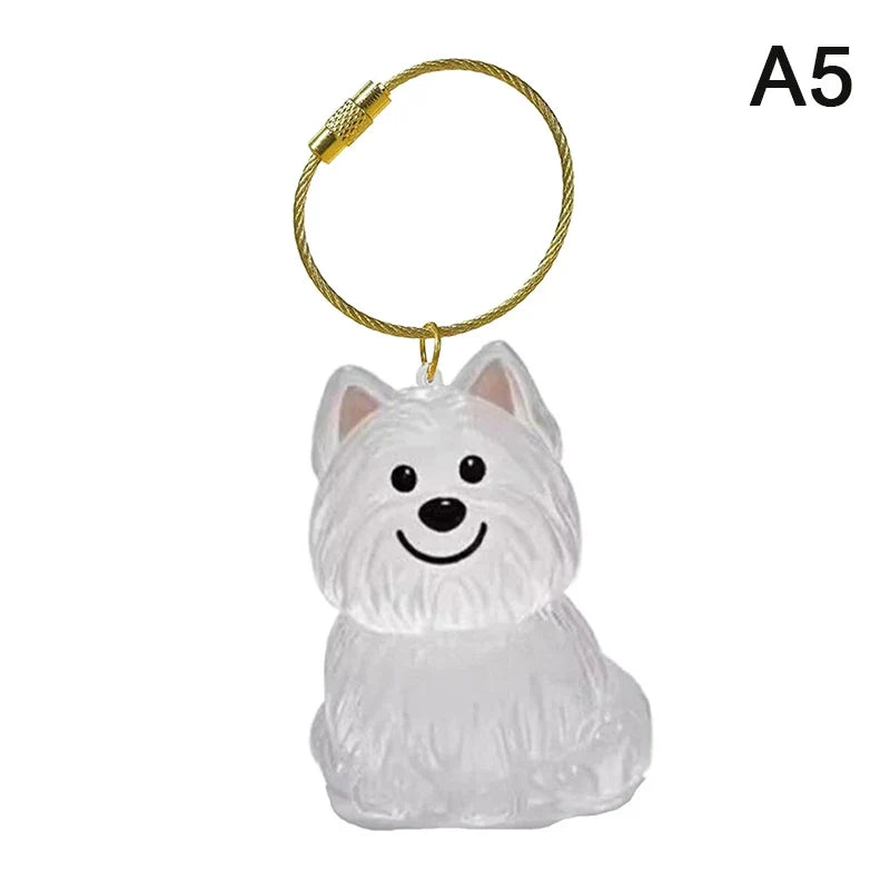 Clear Pet Hair Memorial Keepsake Capsule | Dog Fur Container Keychain for Pet Lovers