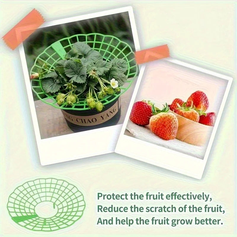 6/12pcs Green PVC Strawberry Support Cage for Vegetable Garden - 3-Legged Plant Protector, and Rot, Easy Assembly