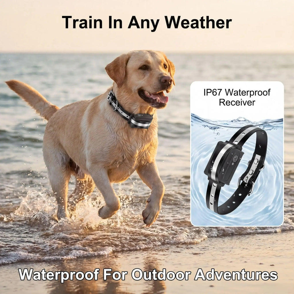 Lingerie | Waterproof Training | Everyday Use