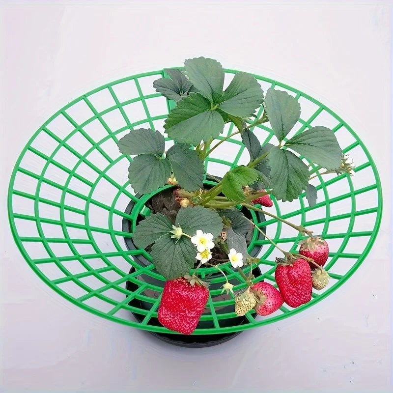 6/12pcs Green PVC Strawberry Support Cage for Vegetable Garden - 3-Legged Plant Protector, and Rot, Easy Assembly