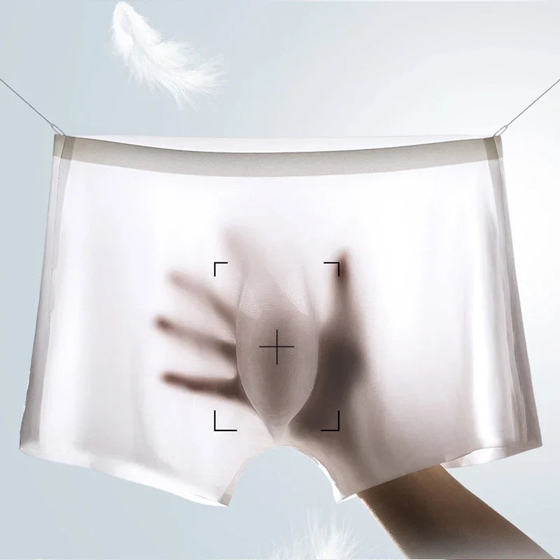 10 Pcs/Lot Men's Summer Ice Silk Boxers Briefs