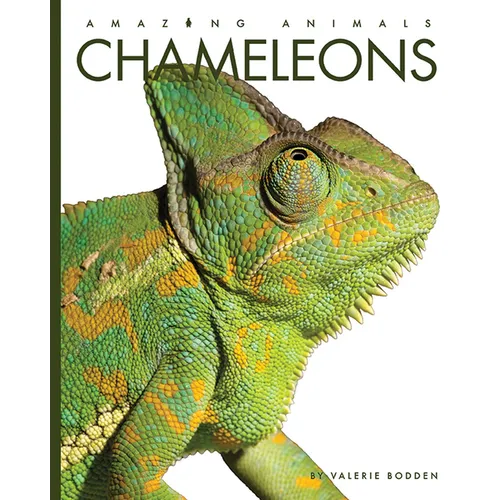 Chameleons - Paperback