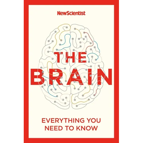 The Brain: Everything You Need to Know - Paperback