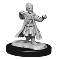 Pathfinder: Deep Cuts - Halfing Monk Male