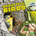 Beautiful Birds - Paperback