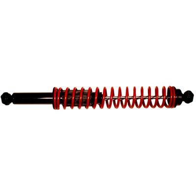 ACDelco Shock/Strut, Rear, Chevy, Dodge, Pair - 51930