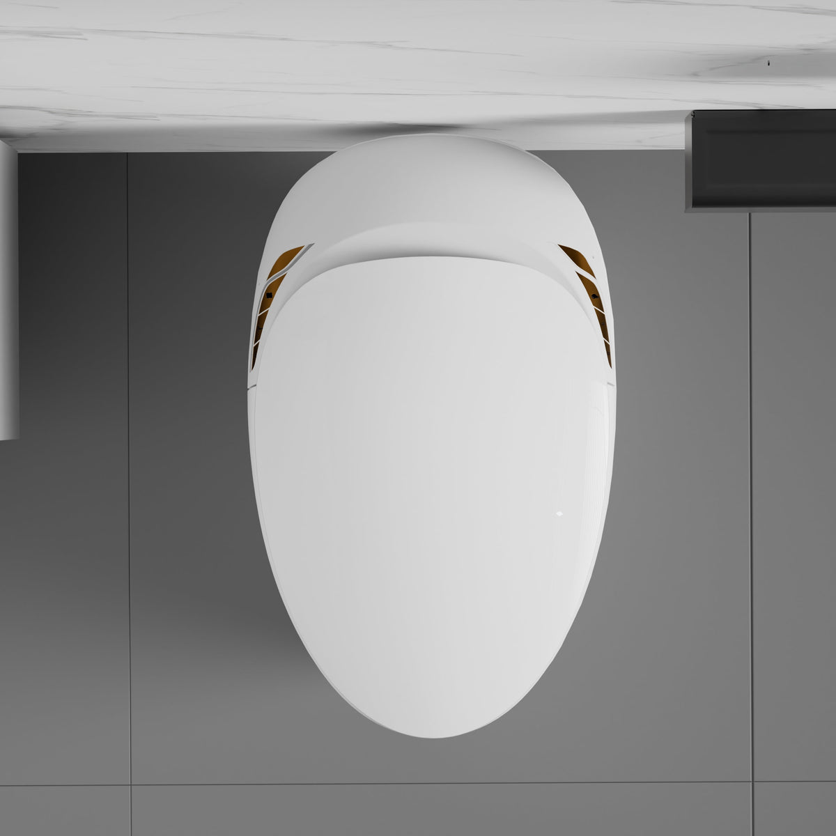 Unique Smart Toilet with Built-In Bidet